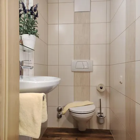 Lejlighed Birgit - Inklusive Eintritt Alpentherme Bad Hofgastein